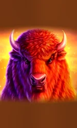Buffalo 50